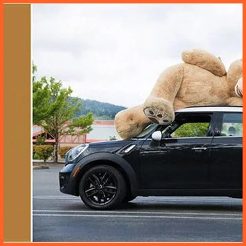 100-260Cm Giant Teddy Bear | Plush Toys Soft Teddy Bear Outer Skin Coat