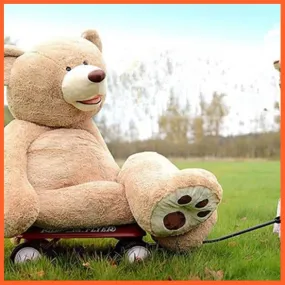 100-260Cm Giant Teddy Bear | Plush Toys Soft Teddy Bear Outer Skin Coat