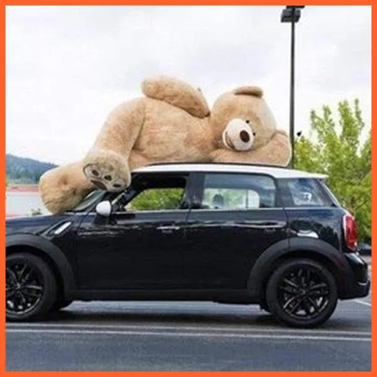 100-260Cm Giant Teddy Bear | Plush Toys Soft Teddy Bear Outer Skin Coat