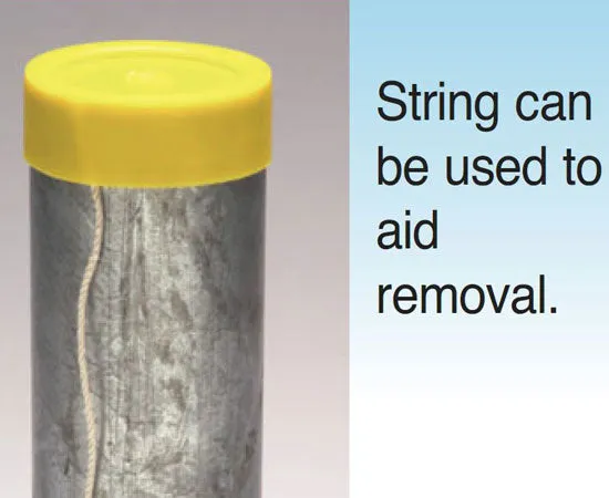 Conduit Cap and Insulating Bushing