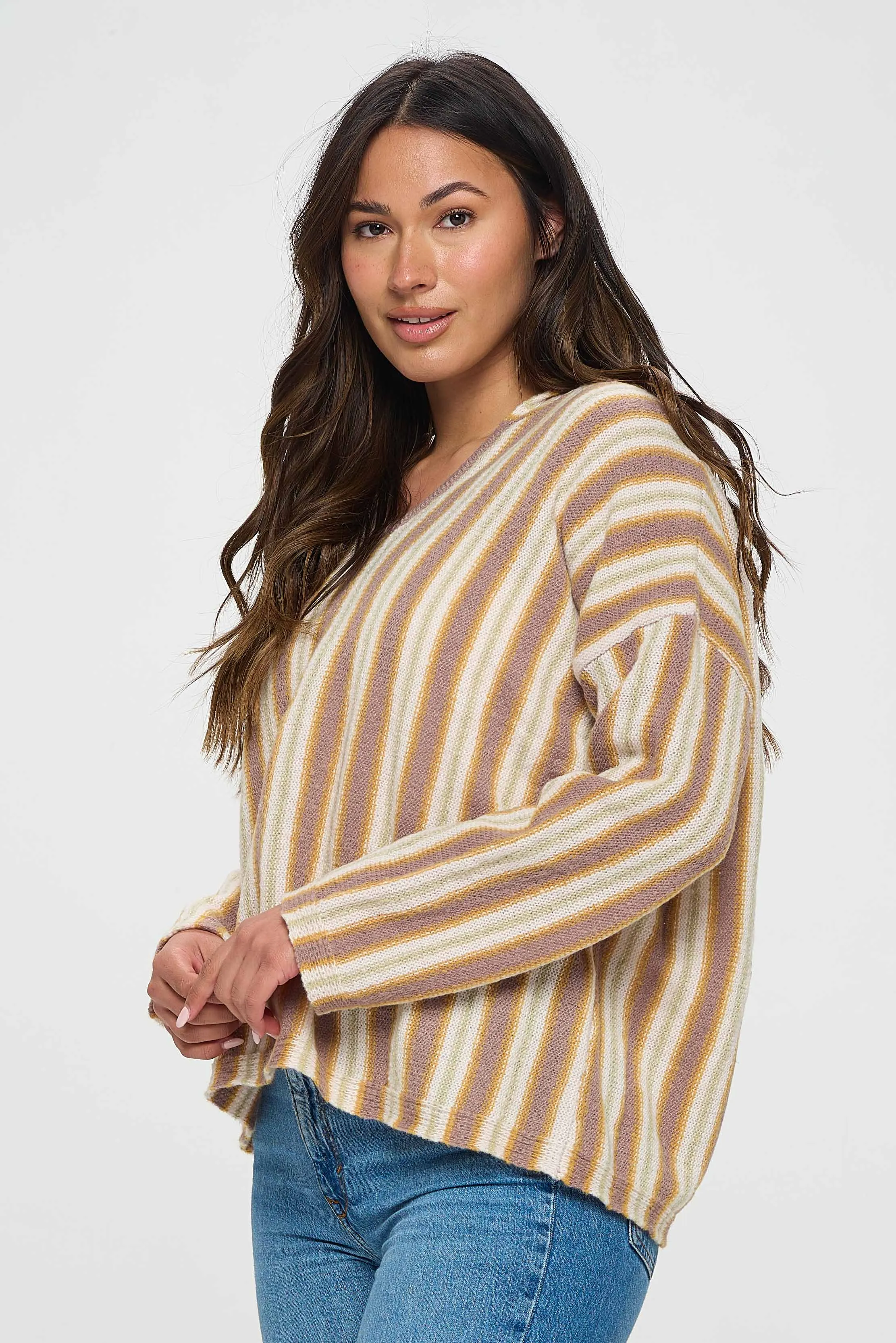 Soft Tone Brown Striped Top